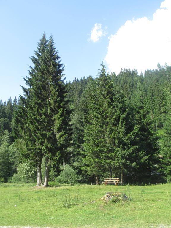 Schwarzenbacher Lungötz Quarto foto