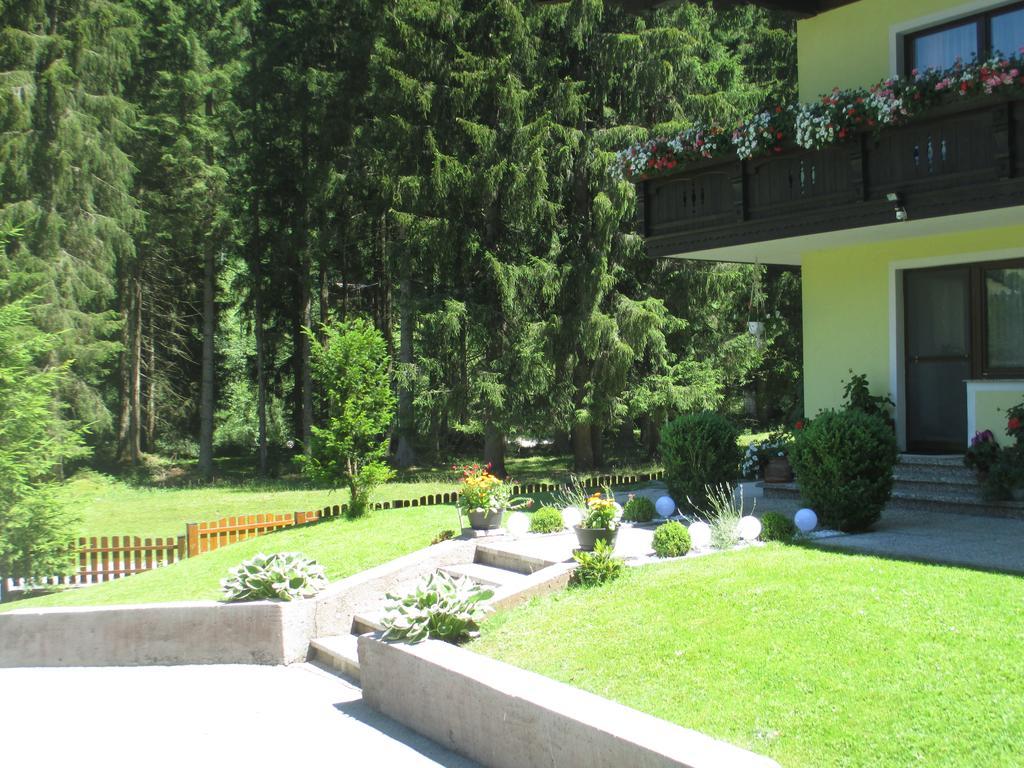 Schwarzenbacher Lungötz Quarto foto